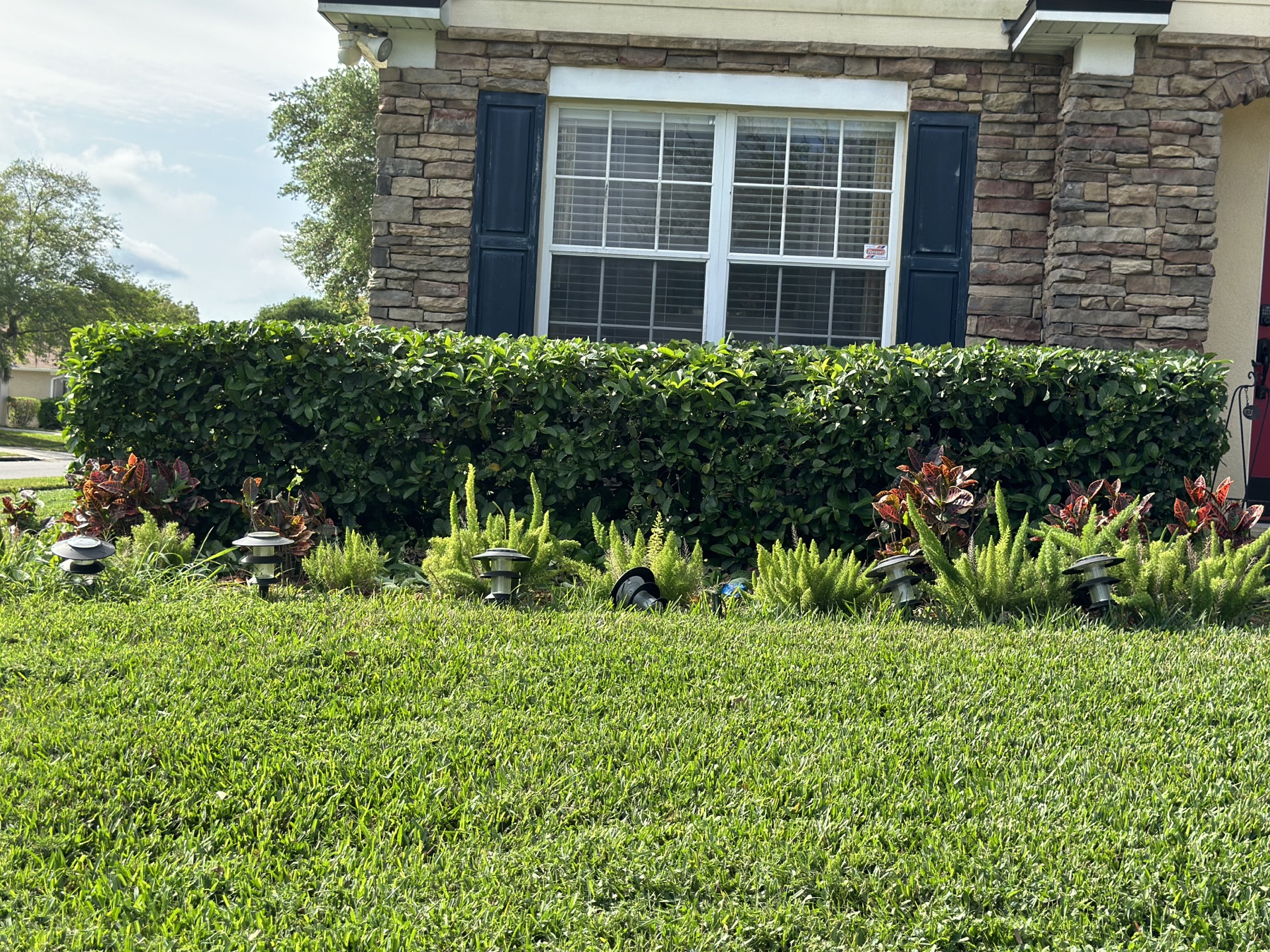 Crisp hedge work